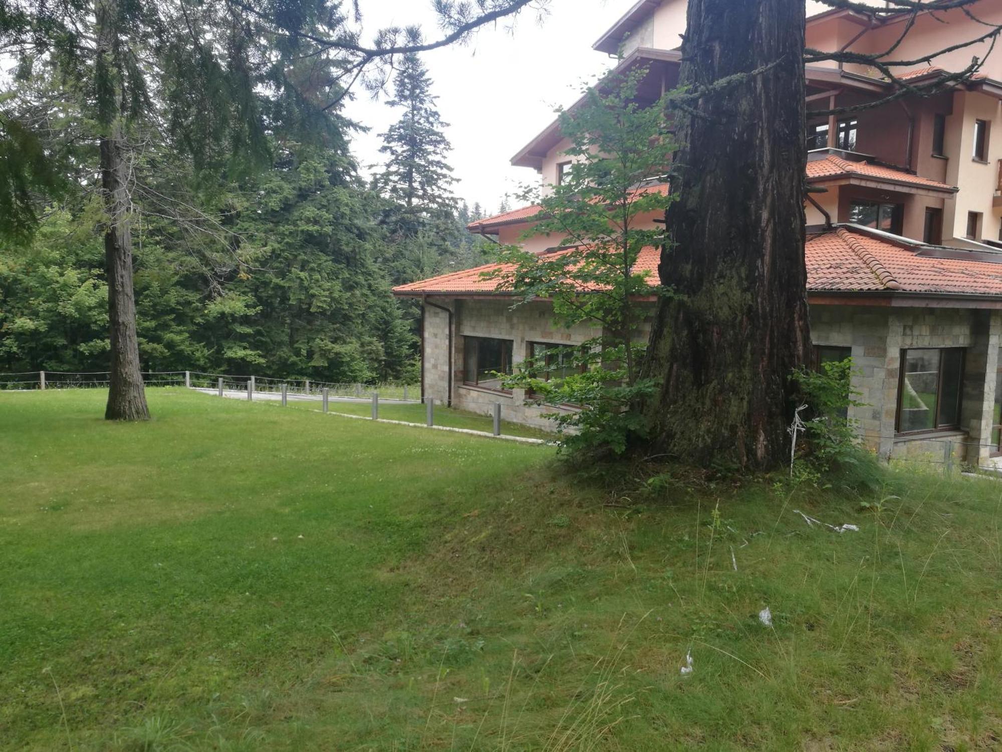 Luxury Apartament In "Sequoia" 2 波罗维茨 外观 照片